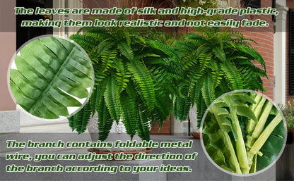 Evergreen Fern Collection - 18 Pack for Year-Round Beauty