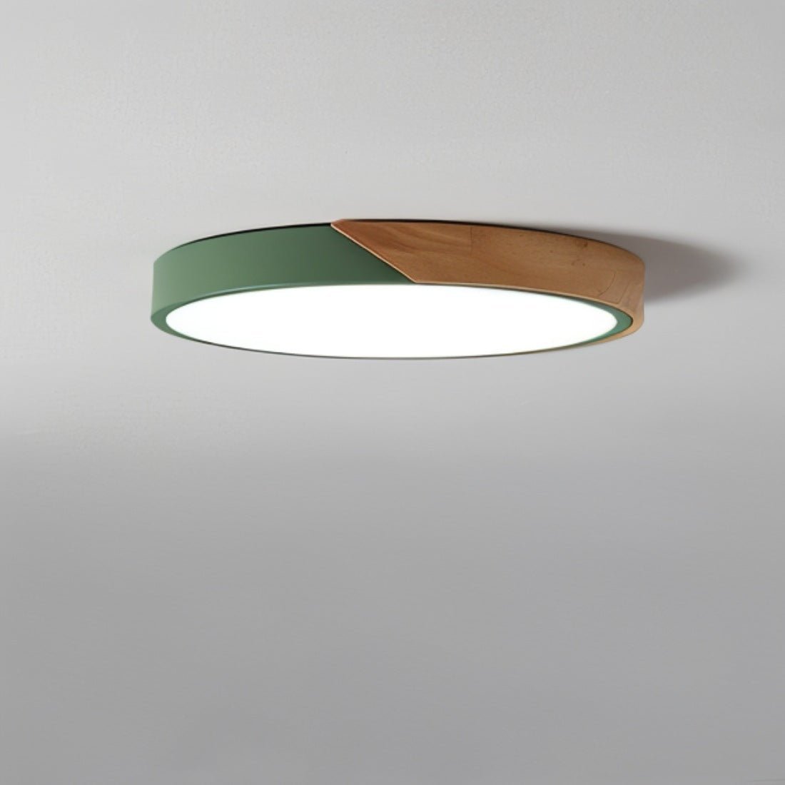 Adjustable Brightness LED Ceiling Fixture in Contemporary Style
