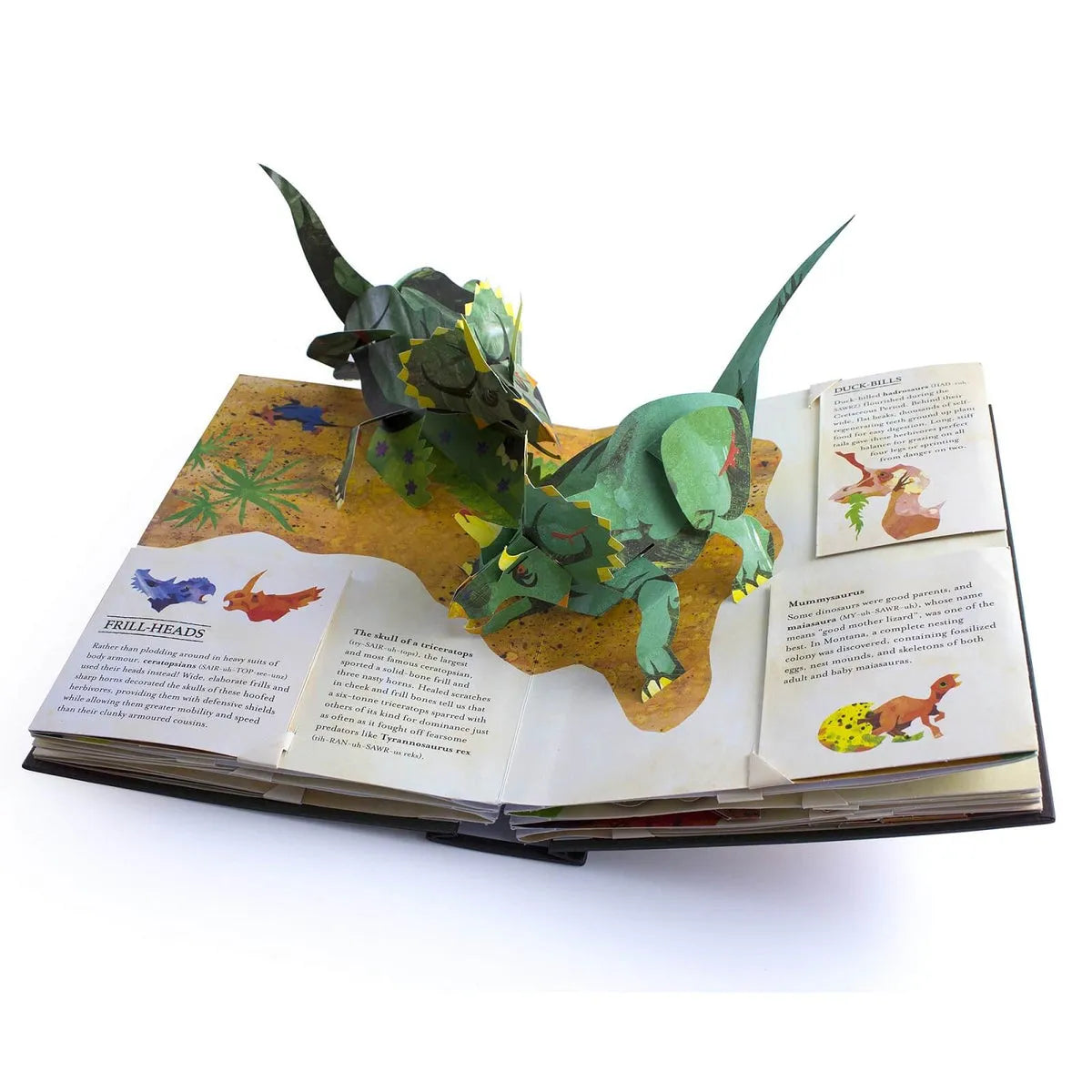 Interactive 3D Creatures Book with Engaging Facts and Sturdy Cover