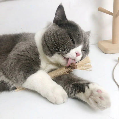 Natural Cat Chew Sticks for Dental Health & Fresh Breath - Set of 3
