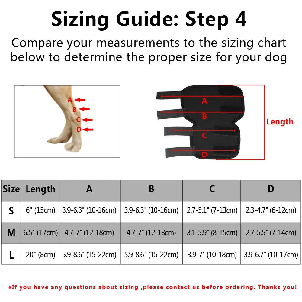 Canine Ankle Support Wrap with Protective Compression and Visibility Strips