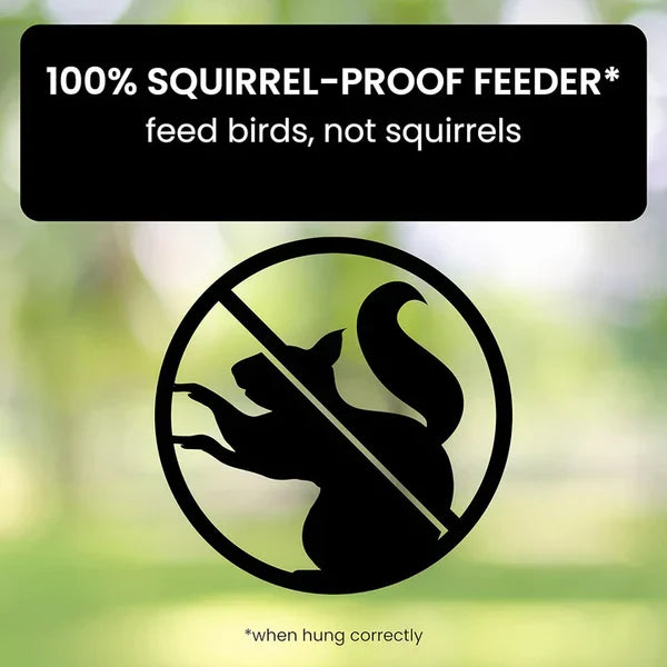 Squirrel-Resistant Bird Feeder with Smart Spinning Perch