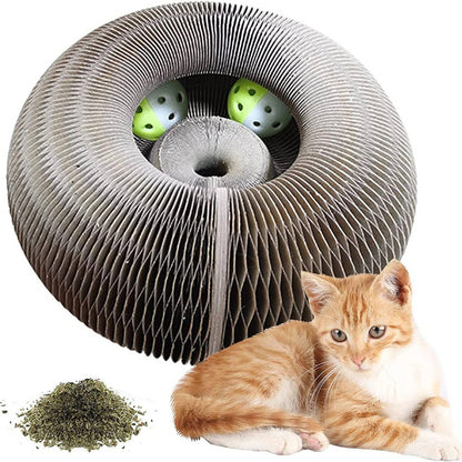 Dynamic Cat Clawing Station with Interactive Play Track