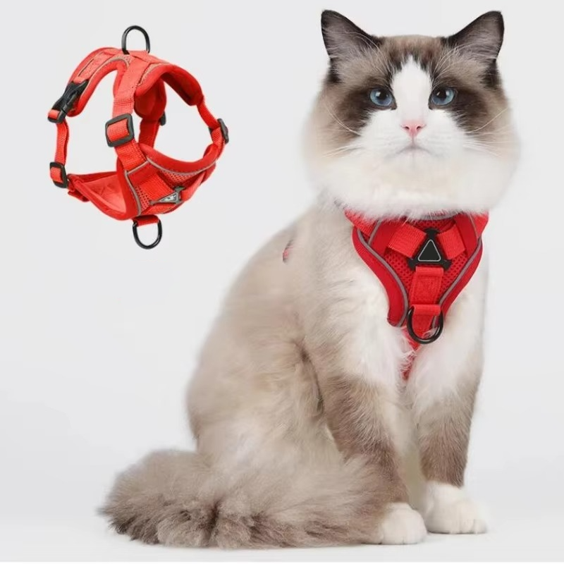 Adjustable Safety Harness and Leash for Cats with Reflective Safety Features