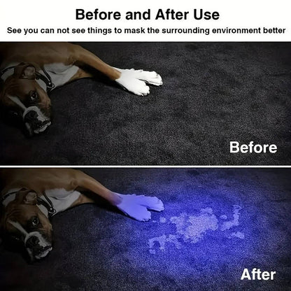 Rechargeable UV Stain Finder for Pets with Adjustable Focus