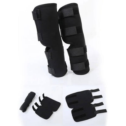 Canine Ankle Support Wrap with Protective Compression and Visibility Strips