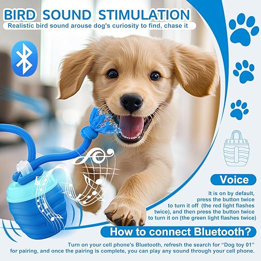 Self-Moving Play Ball for Active Medium and Large Dogs