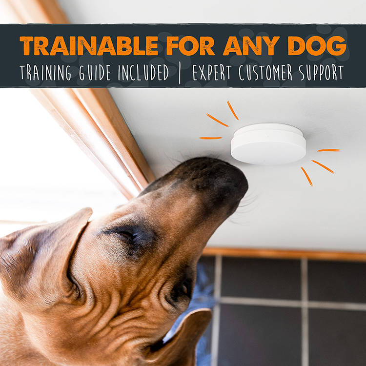 Smart Canine Communication Bell for House Training