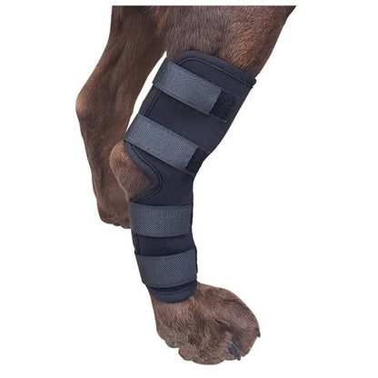 Canine Ankle Support Wrap with Protective Compression and Visibility Strips