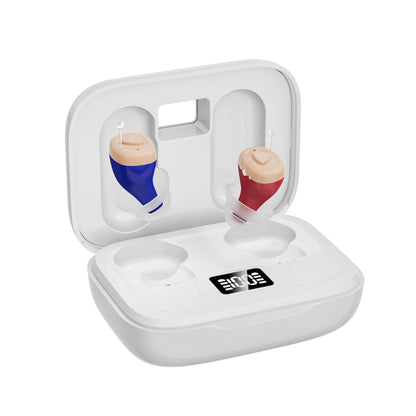 Discreet Hearing Companion with Smart Noise Control