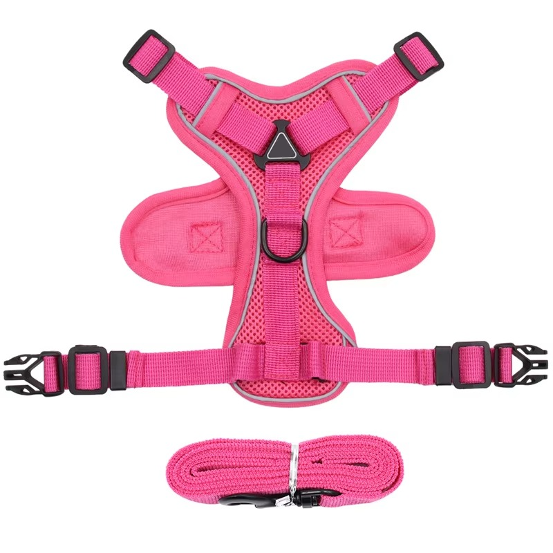 Adjustable Safety Harness and Leash for Cats with Reflective Safety Features