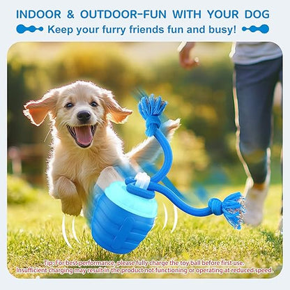 Self-Moving Play Ball for Active Medium and Large Dogs