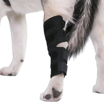 Canine Ankle Support Wrap with Protective Compression and Visibility Strips