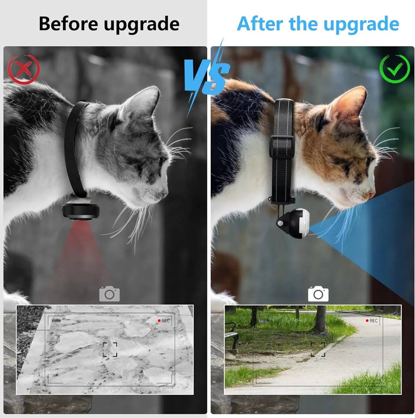 Real-Time Pet Surveillance Camera for Collars