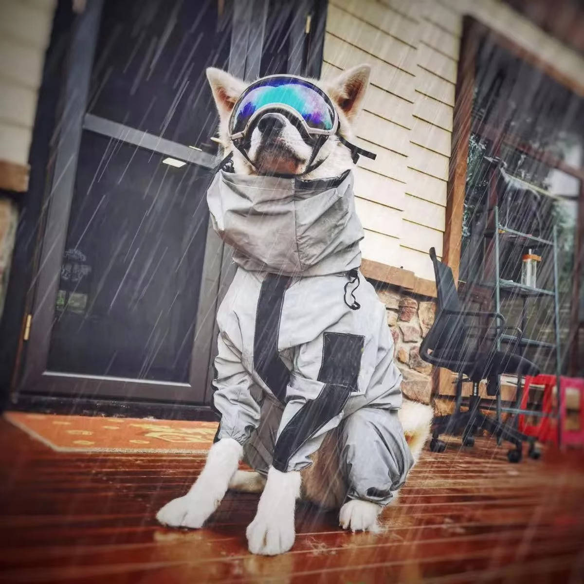 Reflective Waterproof Dog Rain Jacket with Hood and Treat Pocket, M to 5XL
