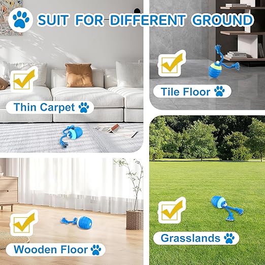 Self-Moving Play Ball for Active Medium and Large Dogs
