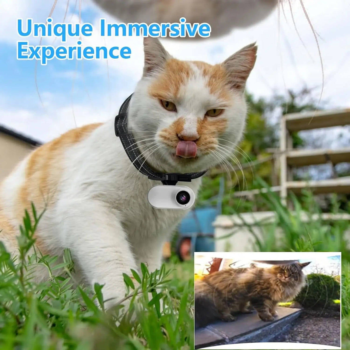 Real-Time Pet Surveillance Camera for Collars