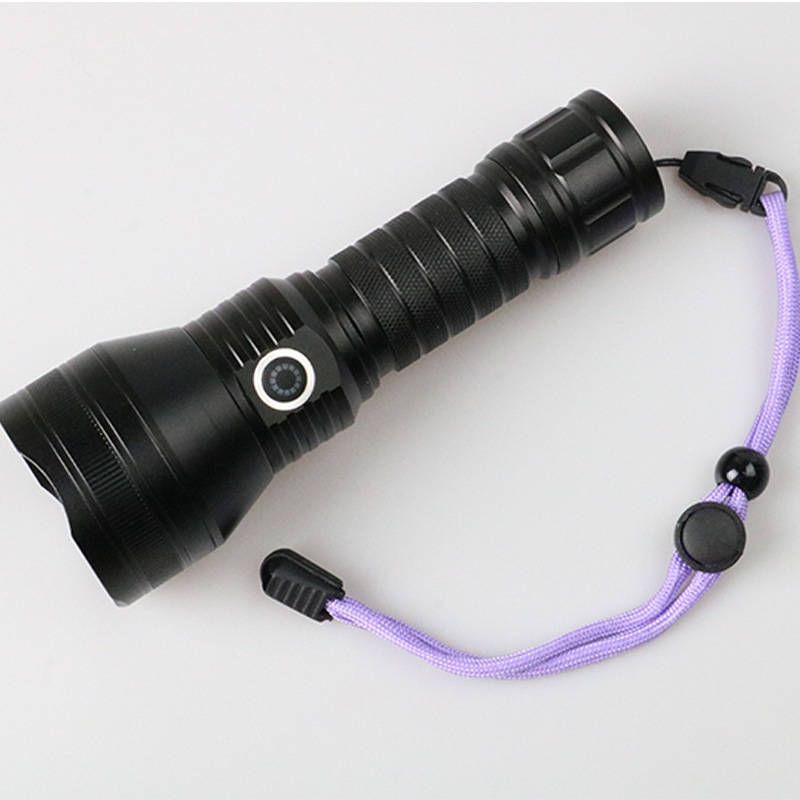 Pet Stain Finder: Rechargeable UV Flashlight for Home Inspection