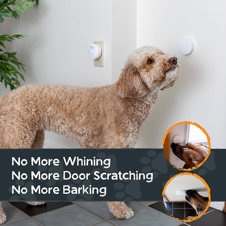 Smart Canine Communication Bell for House Training