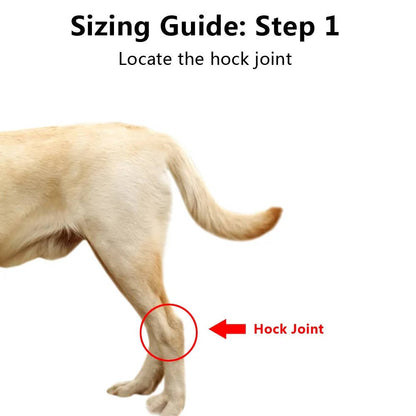 Canine Ankle Support Wrap with Protective Compression and Visibility Strips
