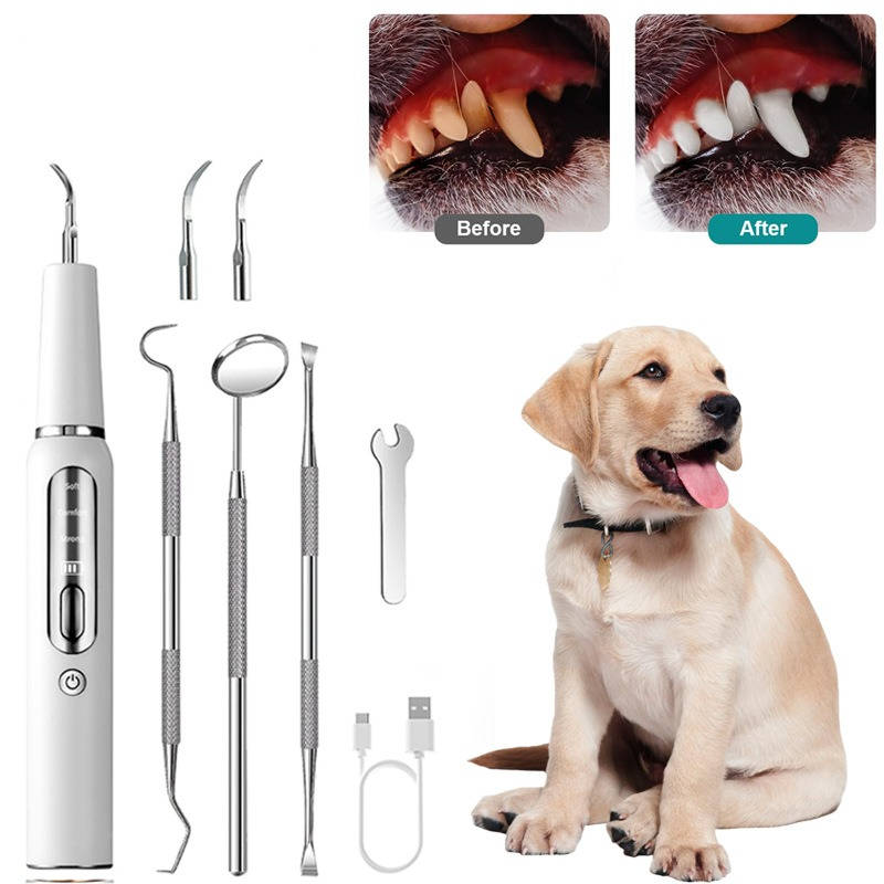 Rechargeable Canine Oral Care Device with LED Illumination and Gum Sensor