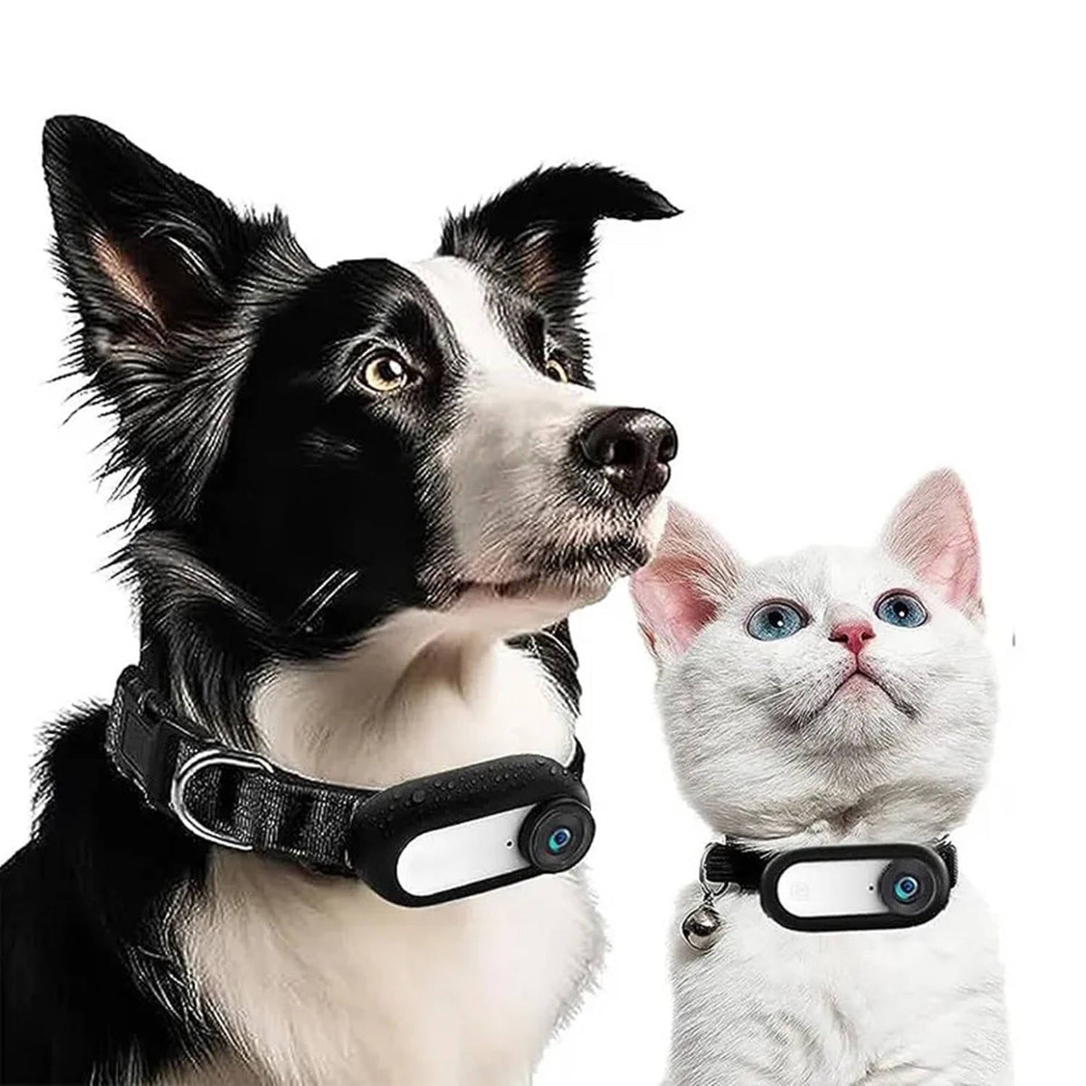 Real-Time Pet Surveillance Camera for Collars