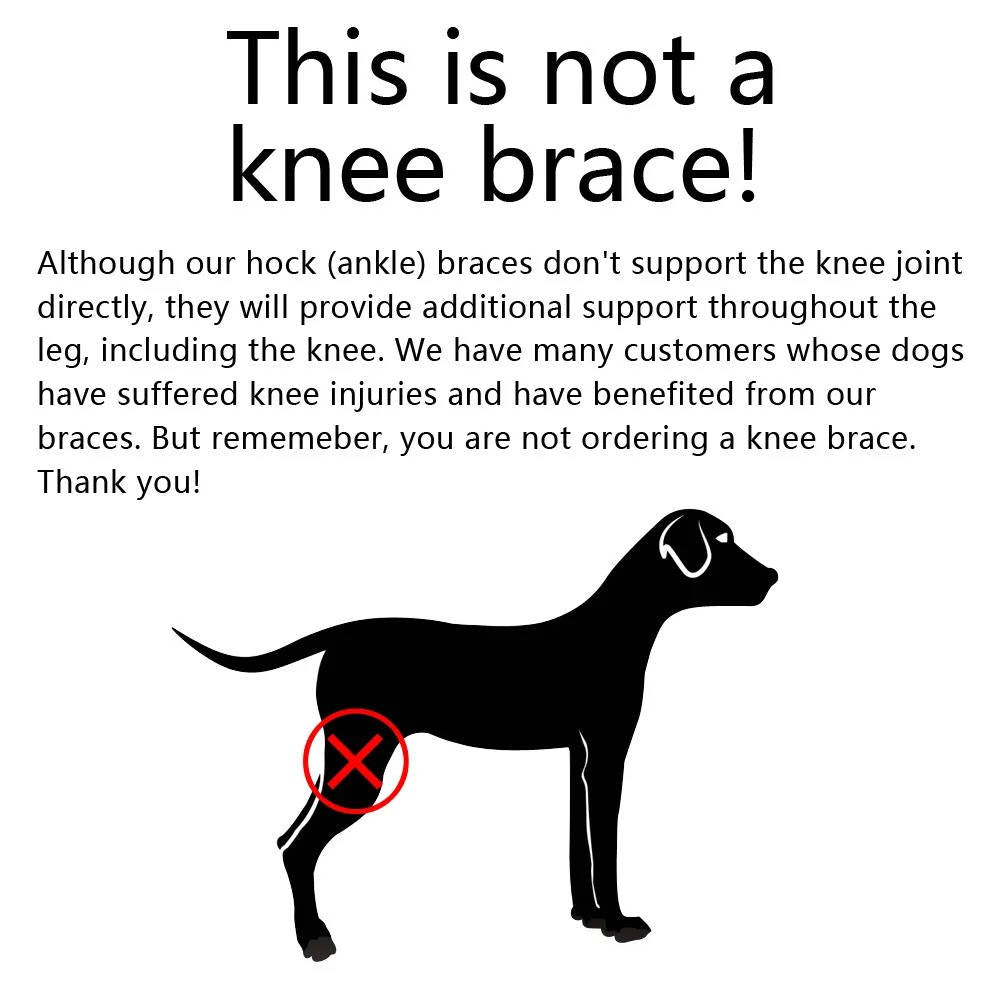 Canine Ankle Support Wrap with Protective Compression and Visibility Strips