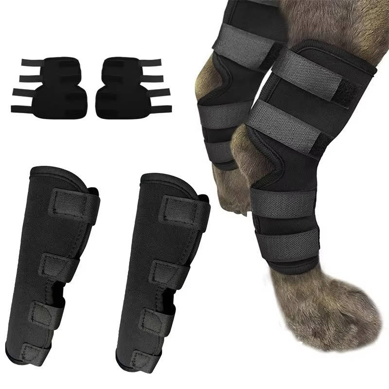Canine Ankle Support Wrap with Protective Compression and Visibility Strips