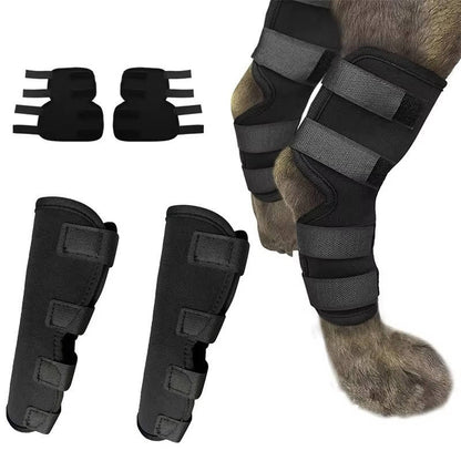 Canine Ankle Support Wrap with Protective Compression and Visibility Strips