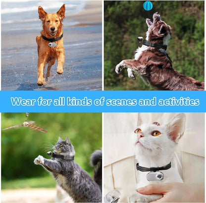 Real-Time Pet Surveillance Camera for Collars