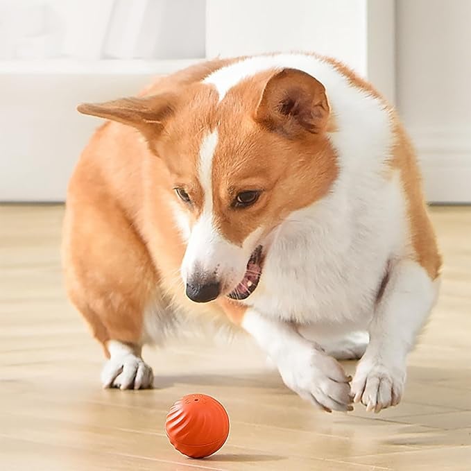 Dynamic Chase Dog Toy with Smart Navigation and Rechargeable Battery