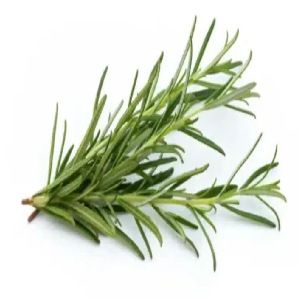 Natural Skin Growth Eliminator with Tea Tree Essence