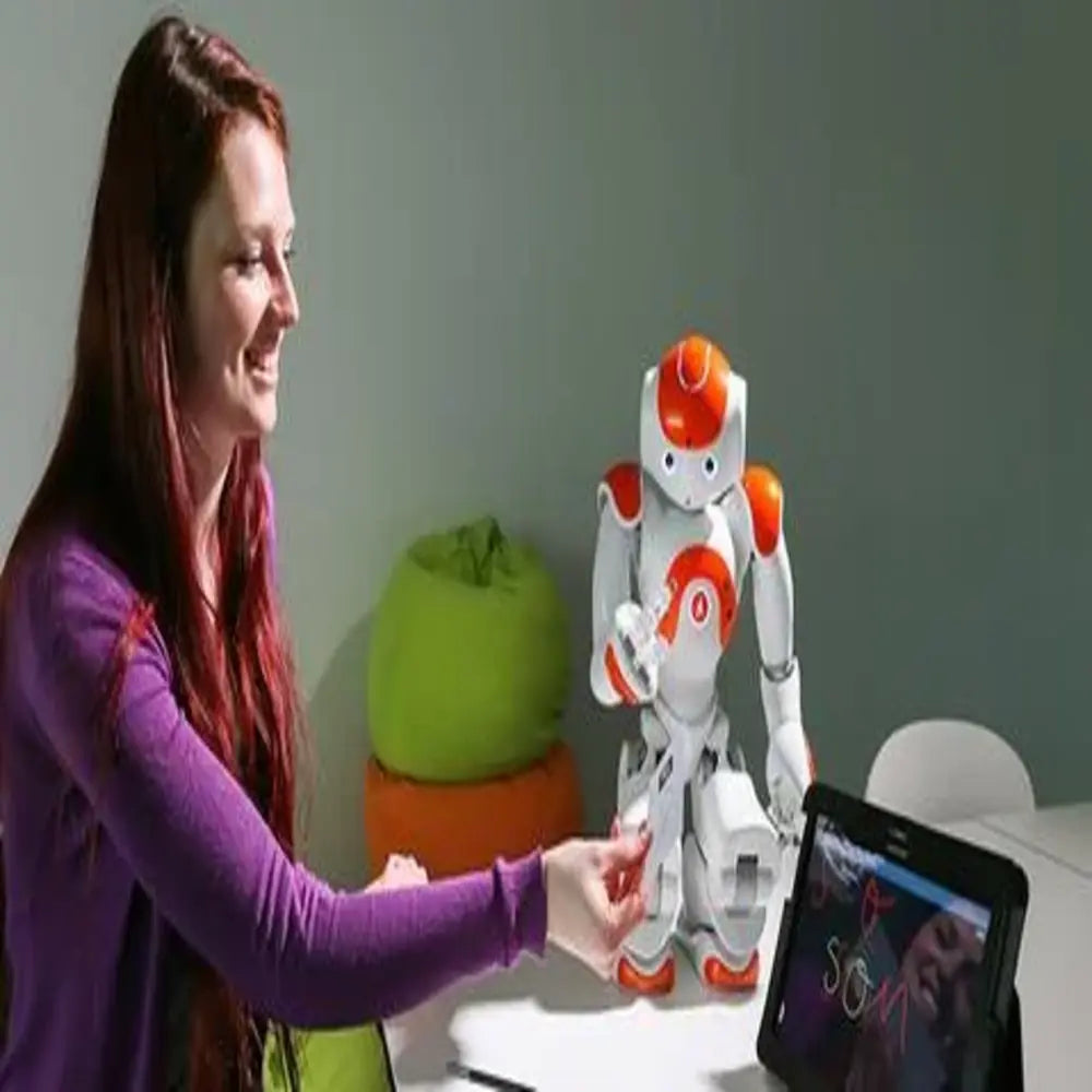 Interactive AI Companion Robot for Engaging Fun