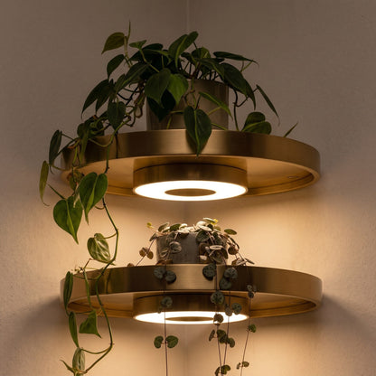 Corner Shelf with Integrated LED Lighting for Floating Display