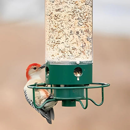 Metal Bird Feeder with Spinning Perch and Squirrel Control Mechanism