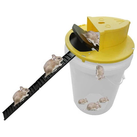 Eco-Friendly Rodent Catcher with Self-Resetting Mechanism for 5-Gallon Buckets