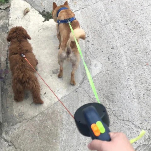 Dual Dog Leash with LED Light and 360° Tangle-Free Design