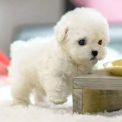 Realistic Interactive Puppy Companion for Kids