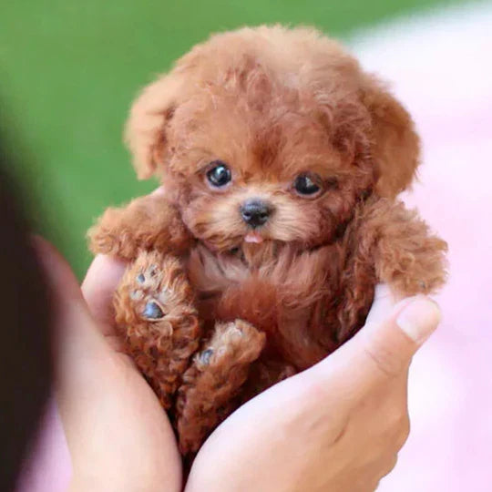 Realistic Interactive Puppy Companion for Kids