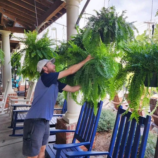 Lifelike Indoor-Outdoor Fern with UV Protection and 18 Fronds