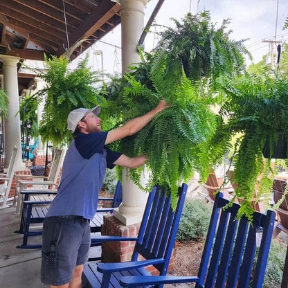 Lifelike Indoor-Outdoor Fern with UV Protection and 18 Fronds