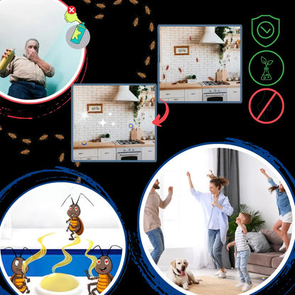 Discreet Roach Control Traps for Effective Indoor Defense