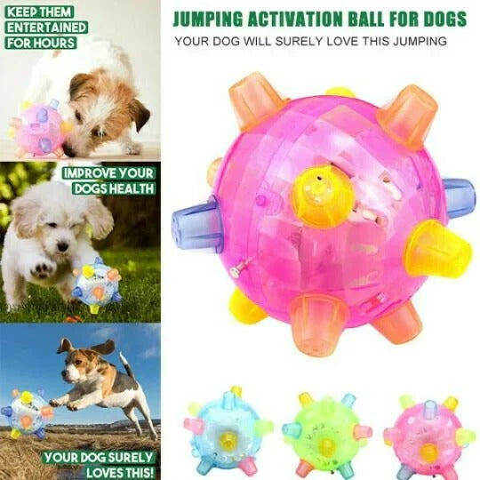 Engaging Bouncing Ball for Dogs – Interactive Playtime Toy