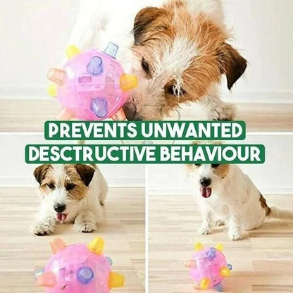 Engaging Bouncing Ball for Dogs – Interactive Playtime Toy