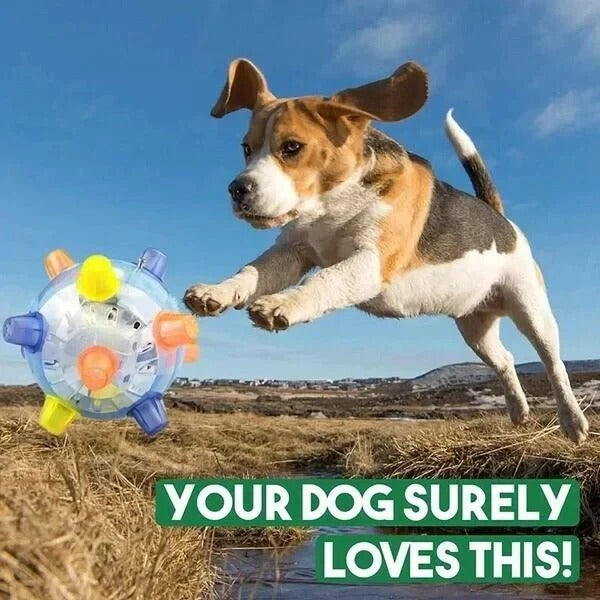 Engaging Bouncing Ball for Dogs – Interactive Playtime Toy