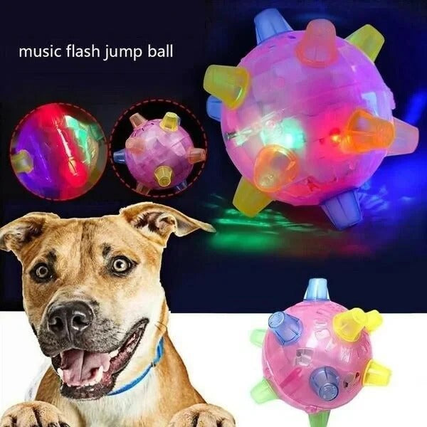 Engaging Bouncing Ball for Dogs – Interactive Playtime Toy