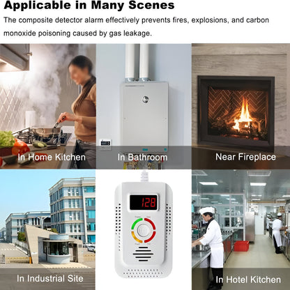 Reliable Gas and Carbon Monoxide Alert System with Display