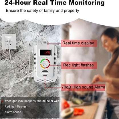 Reliable Gas and Carbon Monoxide Alert System with Display