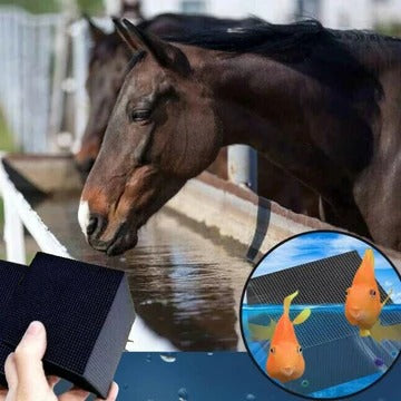 Aquatic PureCube: Effortless Water Purification for Livestock and Pets