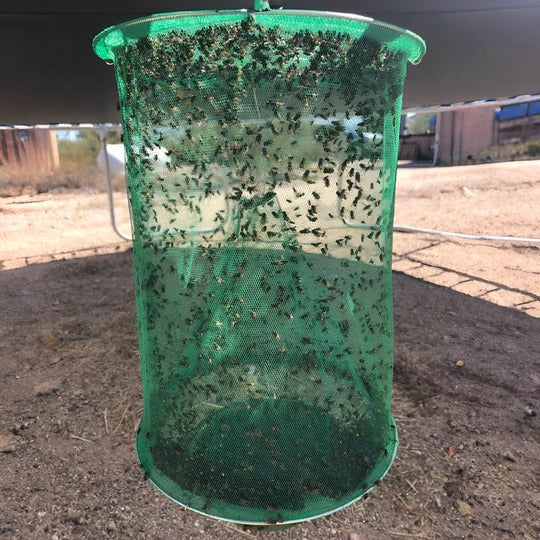 Effective Outdoor Fly Control Trap for Gardens and Yards